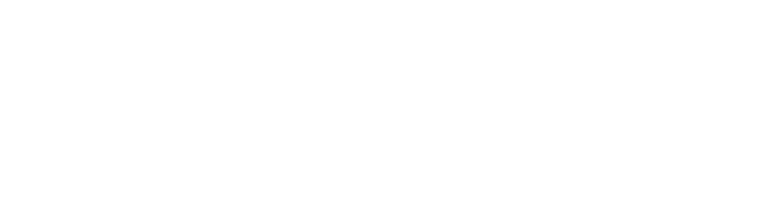 Parceria MGI